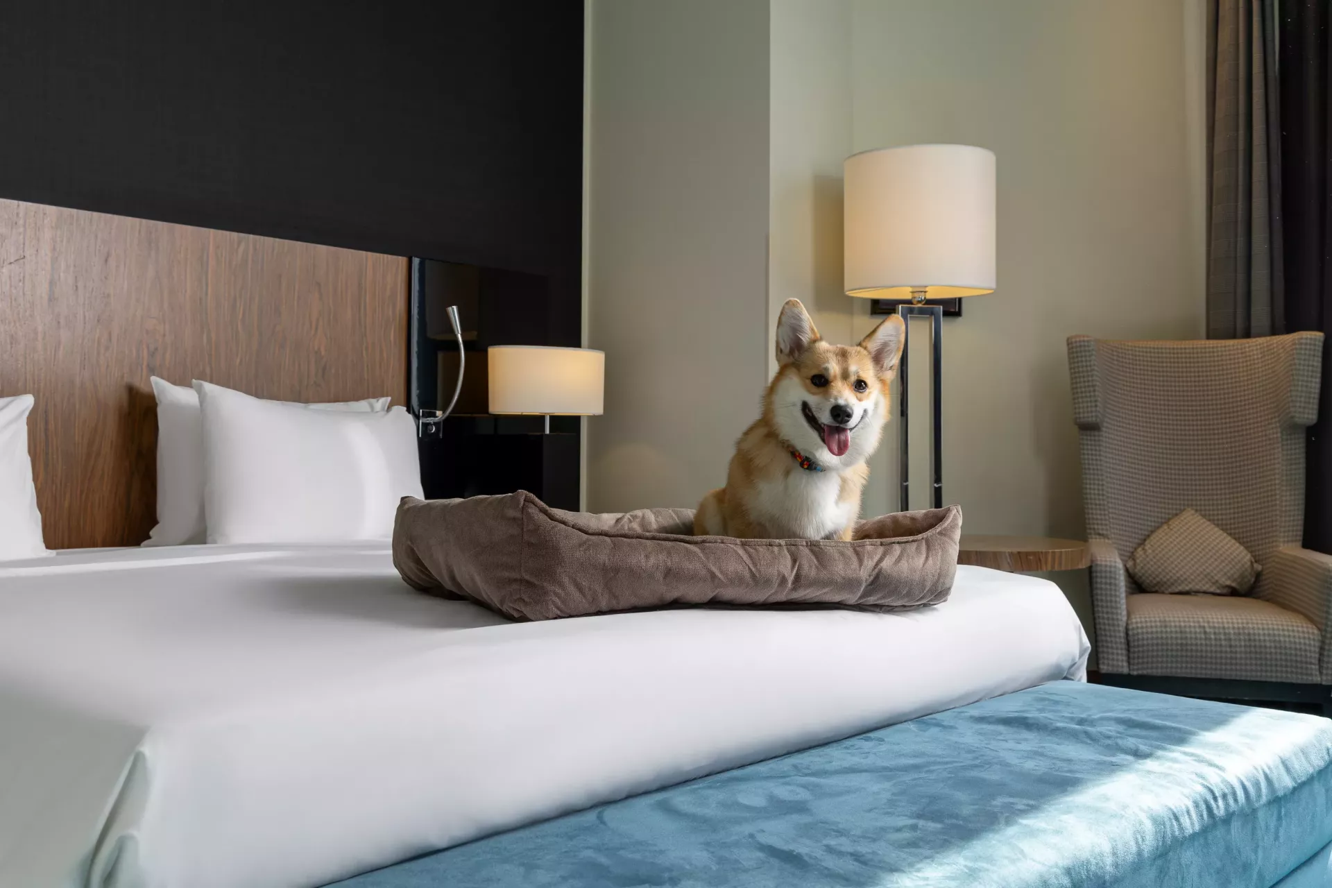 https://site-m25.cosmosgroup.ru/files/hotel_gallery_items/3778_1758771145.webp