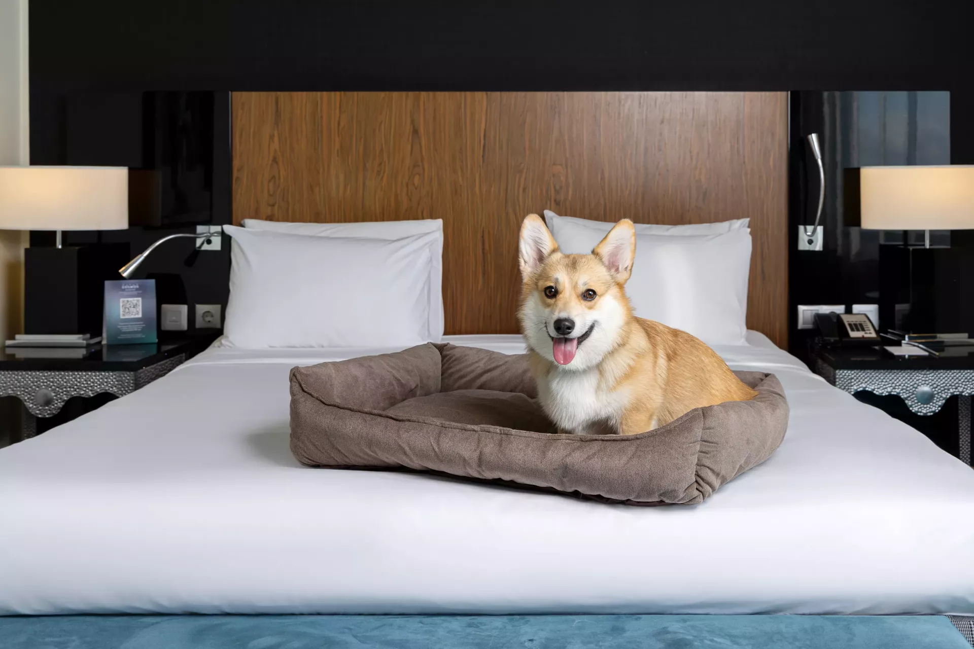 https://site-m25.cosmosgroup.ru/files/hotel_gallery_items/3779_1758771427.webp